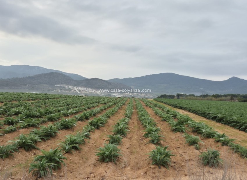 Revente - Land - Hondon de las Nieves
