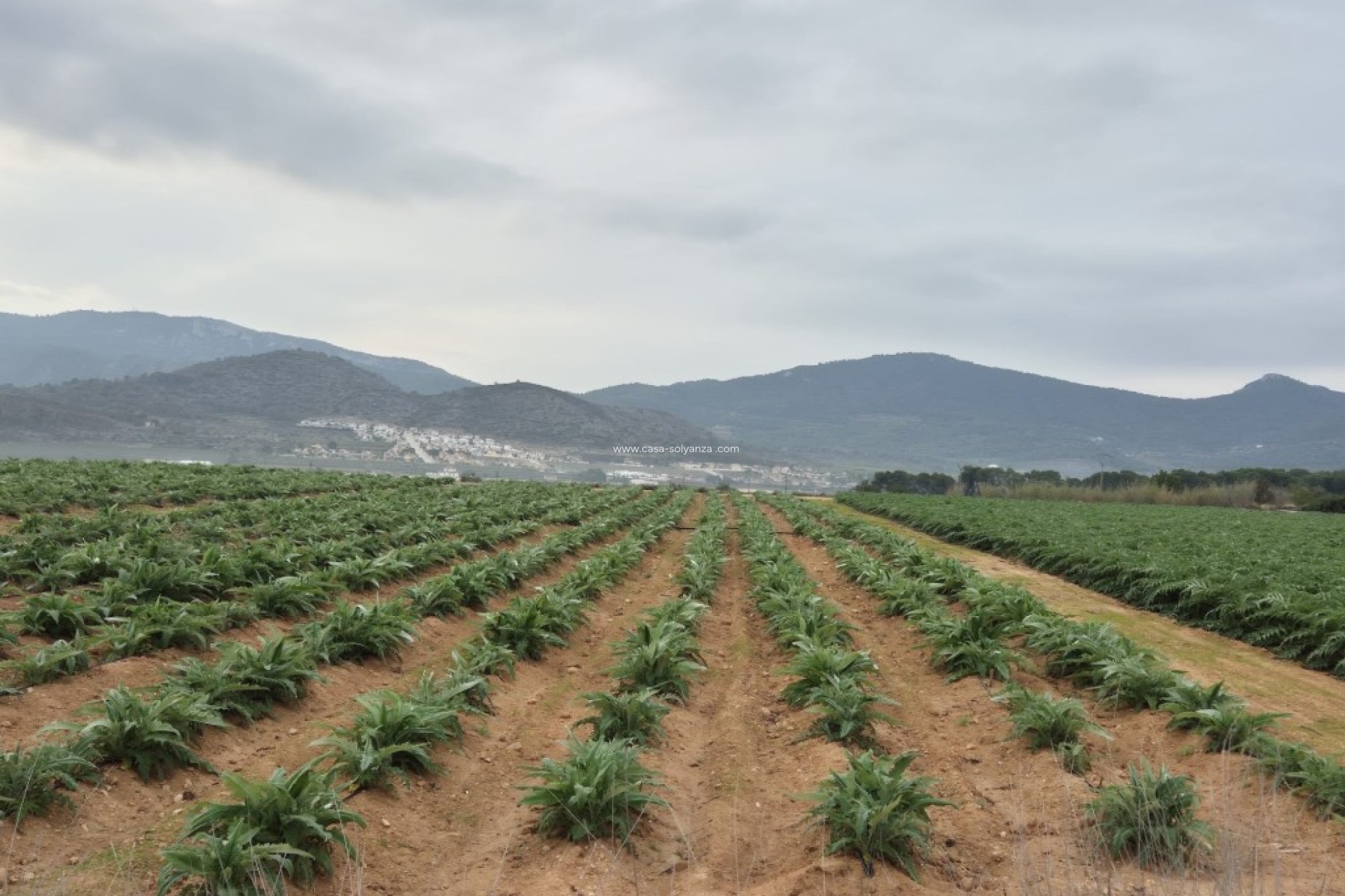 Revente - Land - Hondon de las Nieves