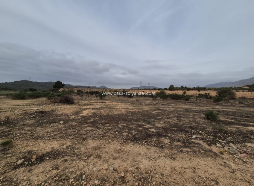 Revente - Land - Hondon de las Nieves