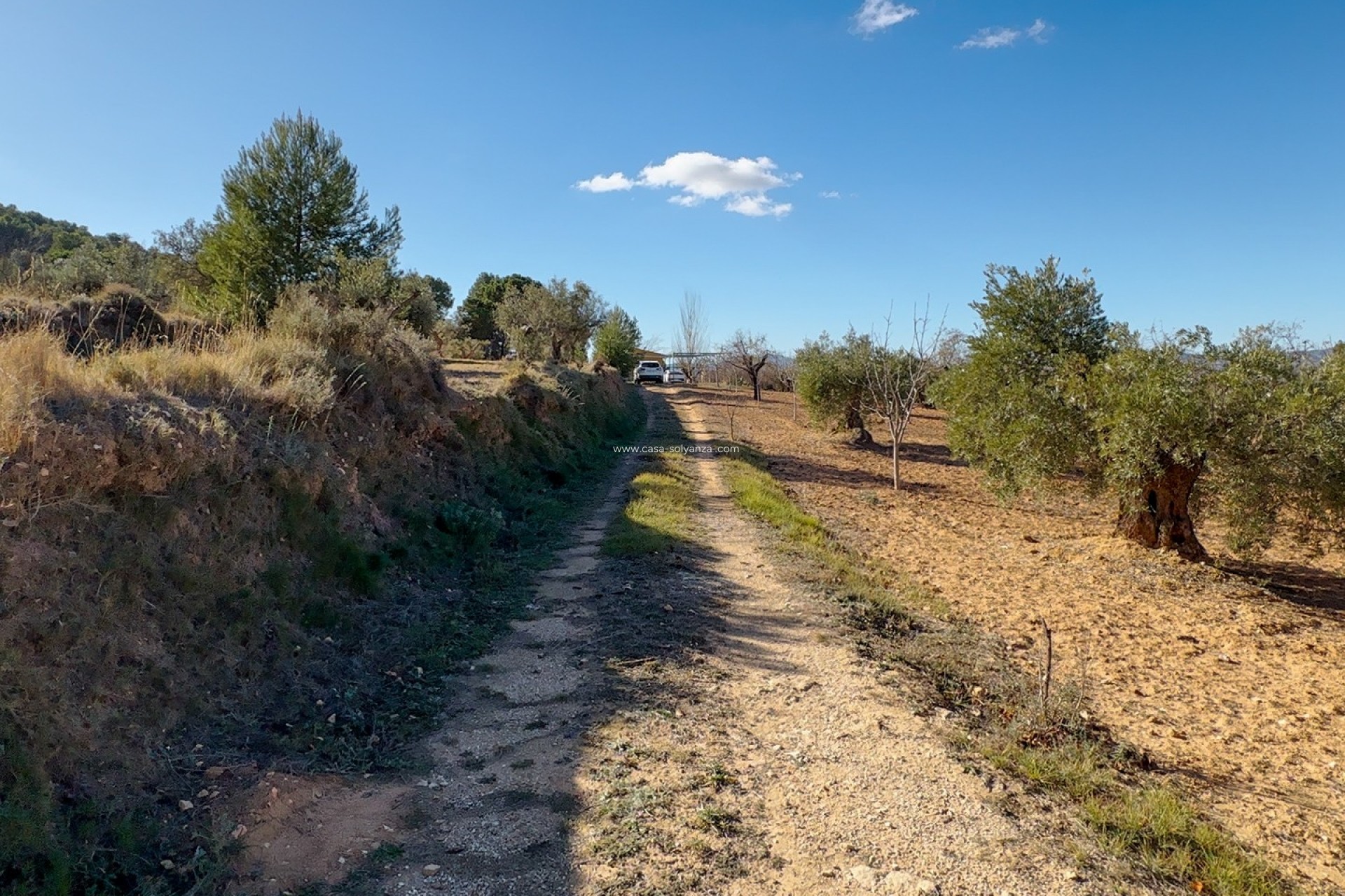 Revente - Land - Ibi - Costa Blanca