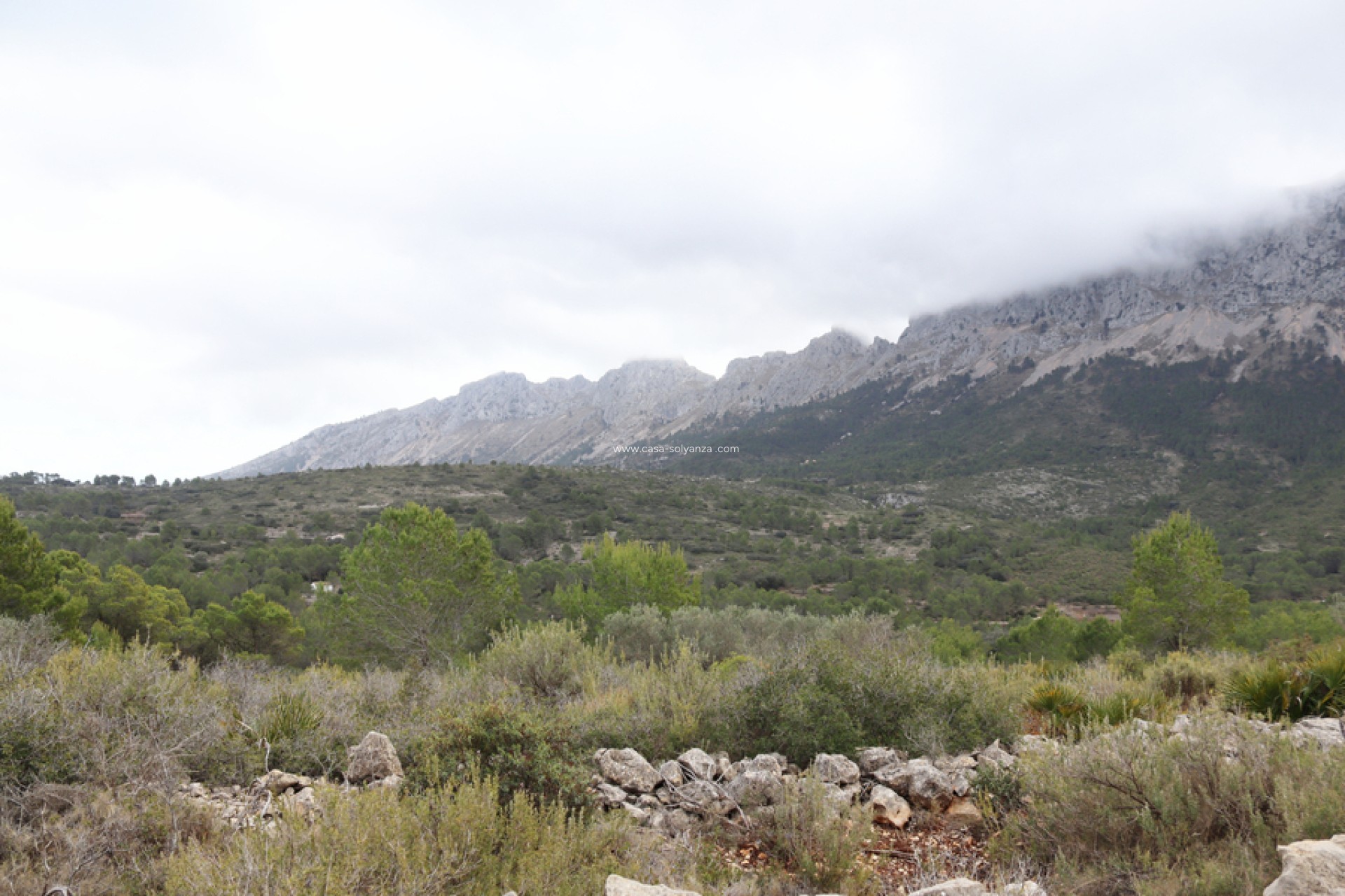Revente - Land - Jalón - Inland