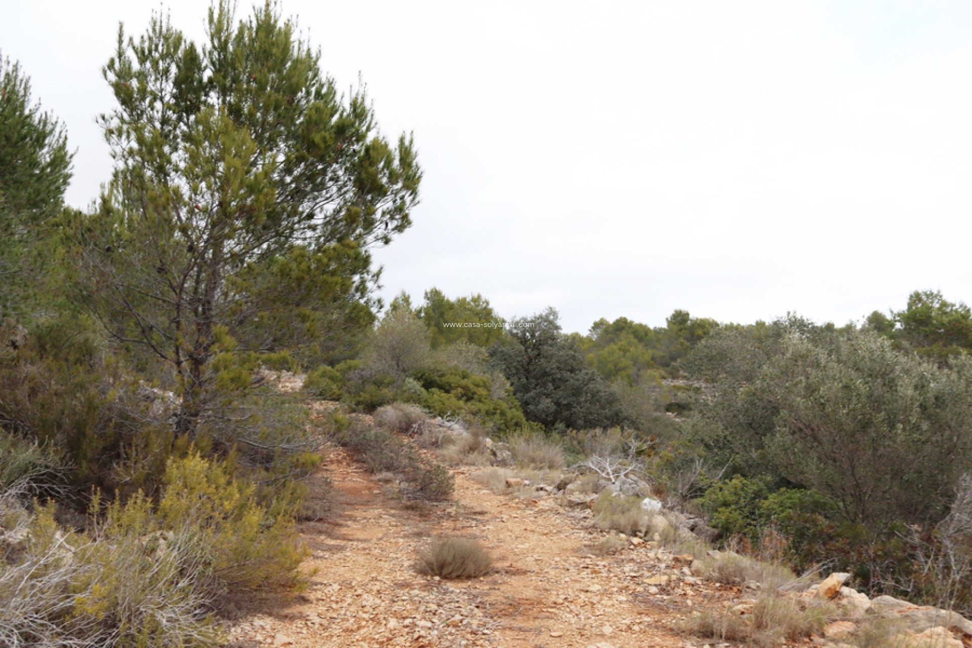 Revente - Land - Jalón - Inland