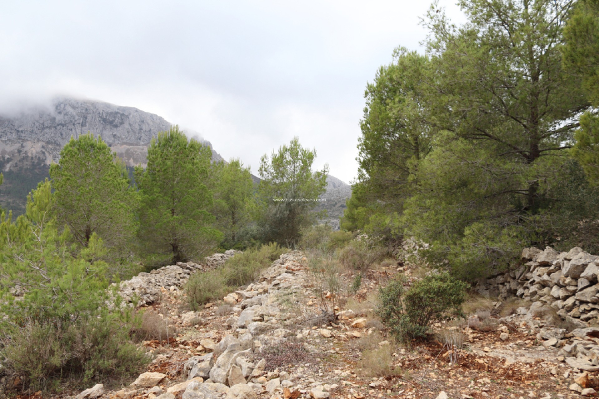 Revente - Land - Jalón - Inland