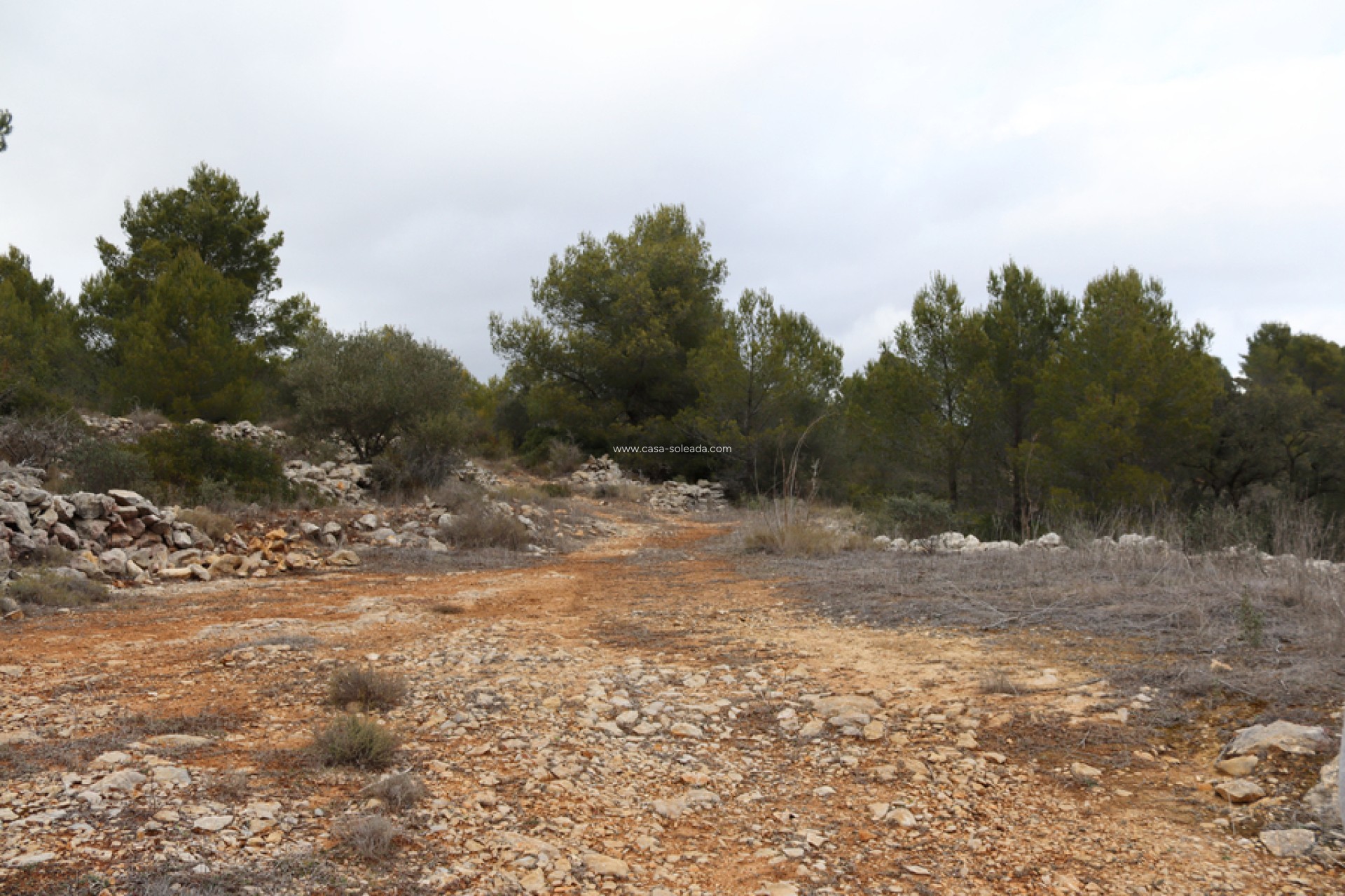Revente - Land - Jalón - Inland