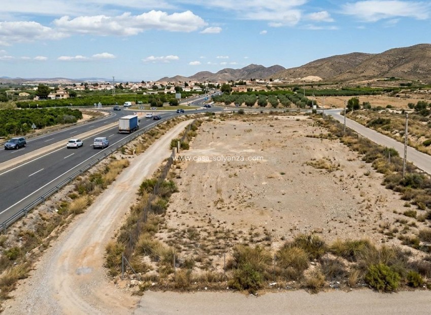 Revente - Land - JAVALI NUEVO - Javalí Nuevo
