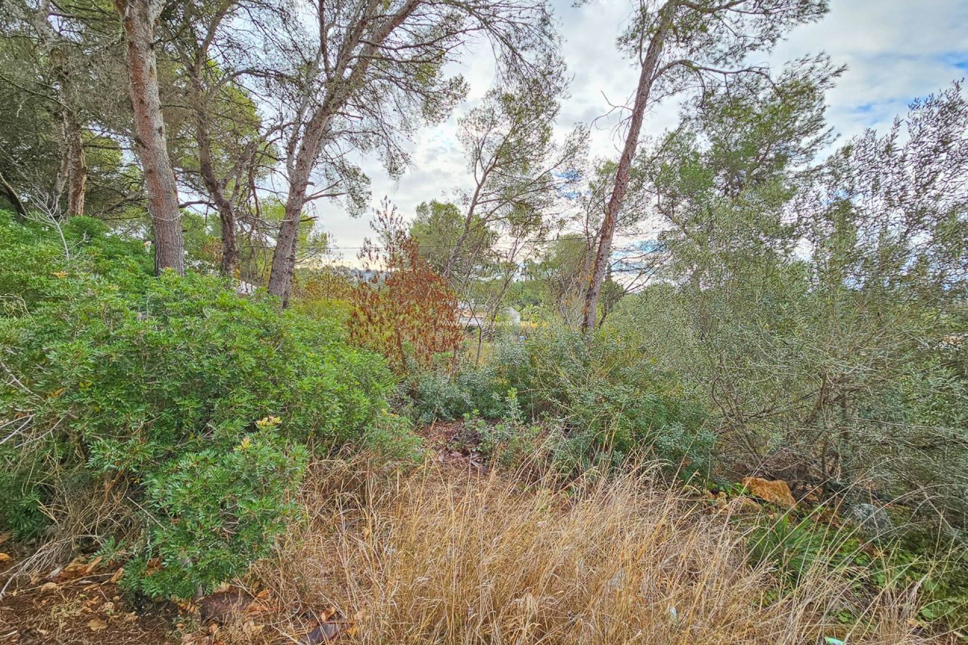 Revente - Land - Jávea - Costa Blanca