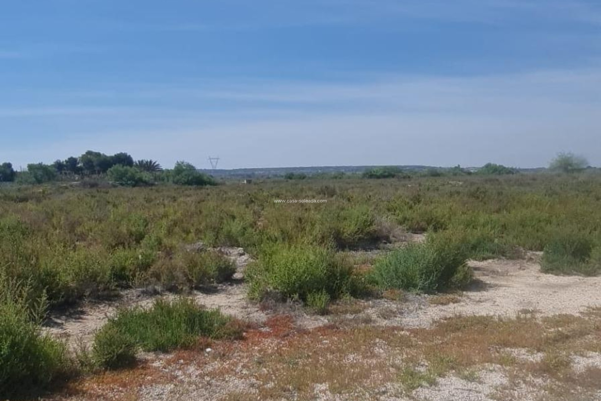 Revente - Land - La Hoya - La Hoya-daimes-el Derramador