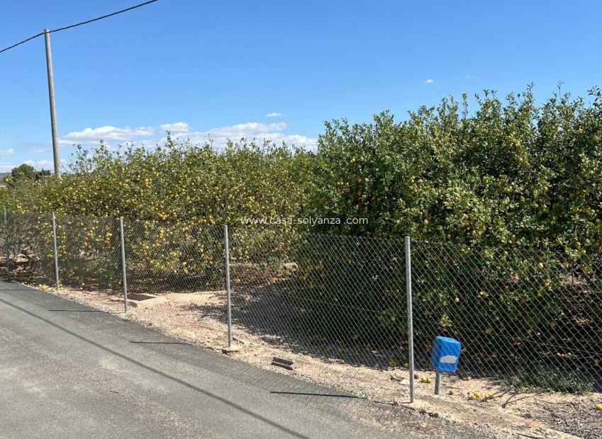 Revente - Land - Los Montesinos - Los Perez