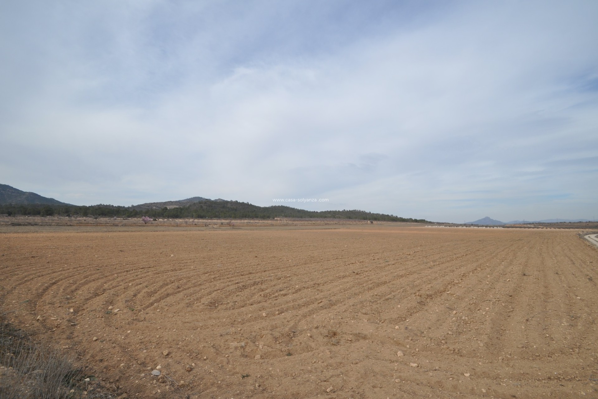Revente - Land - Monóvar - Inland