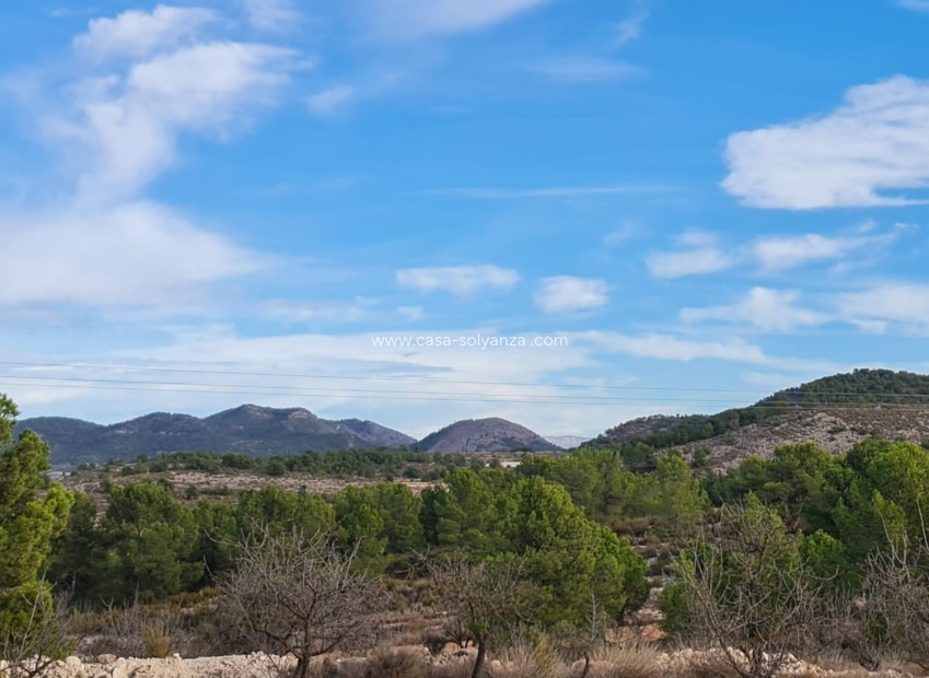 Revente - Land - Monóvar - Inland