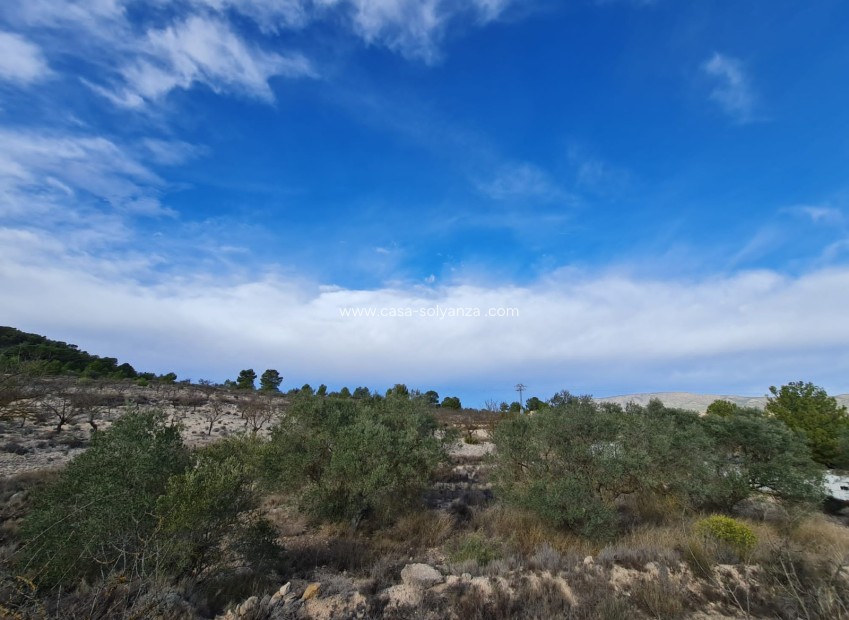 Revente - Land - Monóvar - Inland