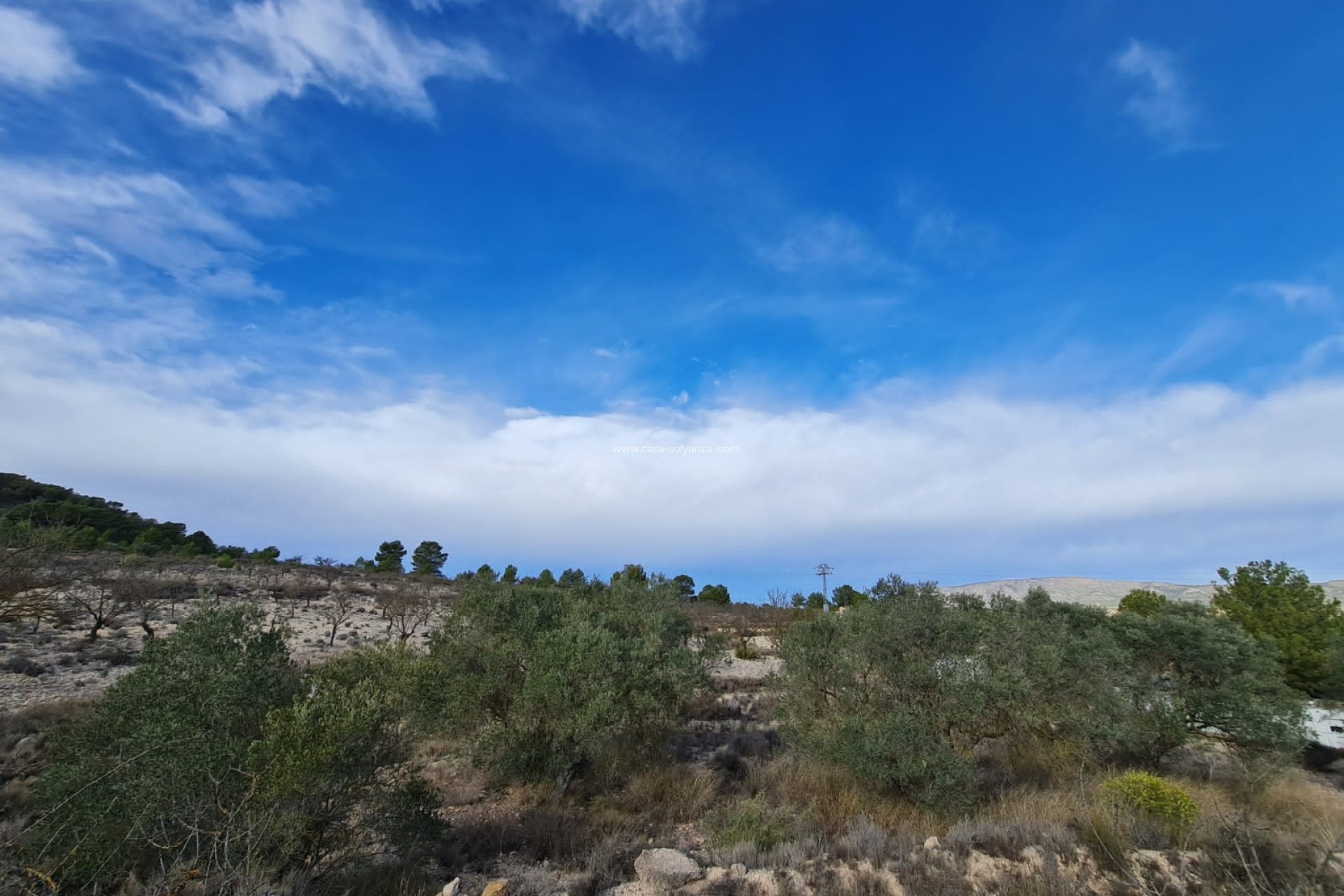 Revente - Land - Monóvar - Inland