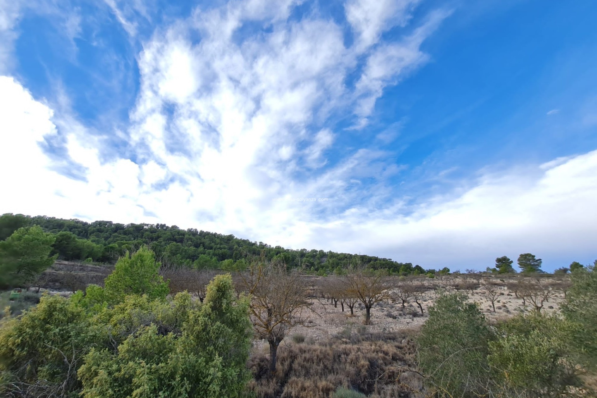 Revente - Land - Monóvar - Inland