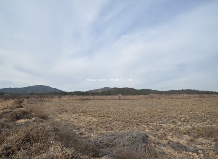 Revente - Land - Monóvar - Inland