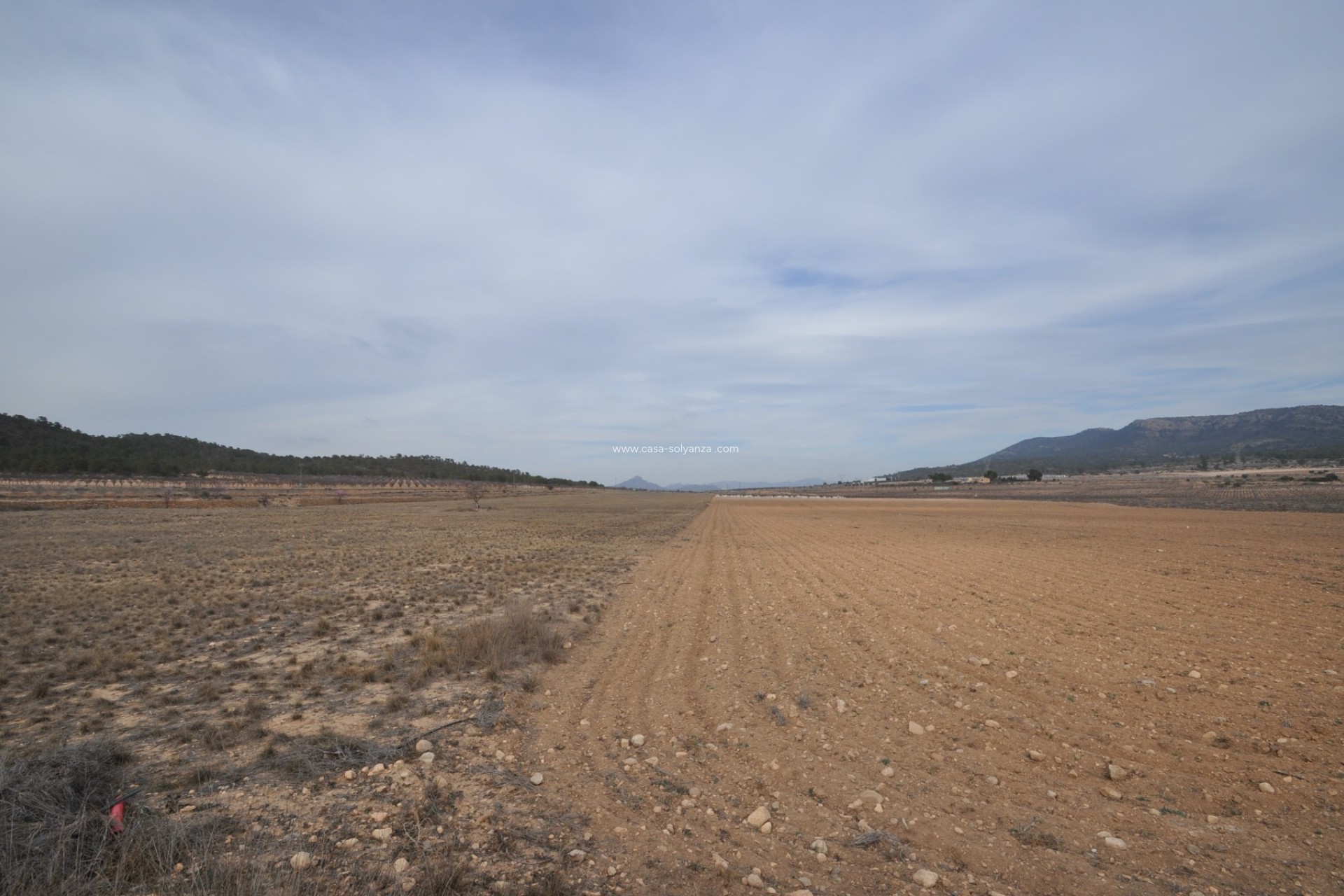 Revente - Land - Monóvar - Inland