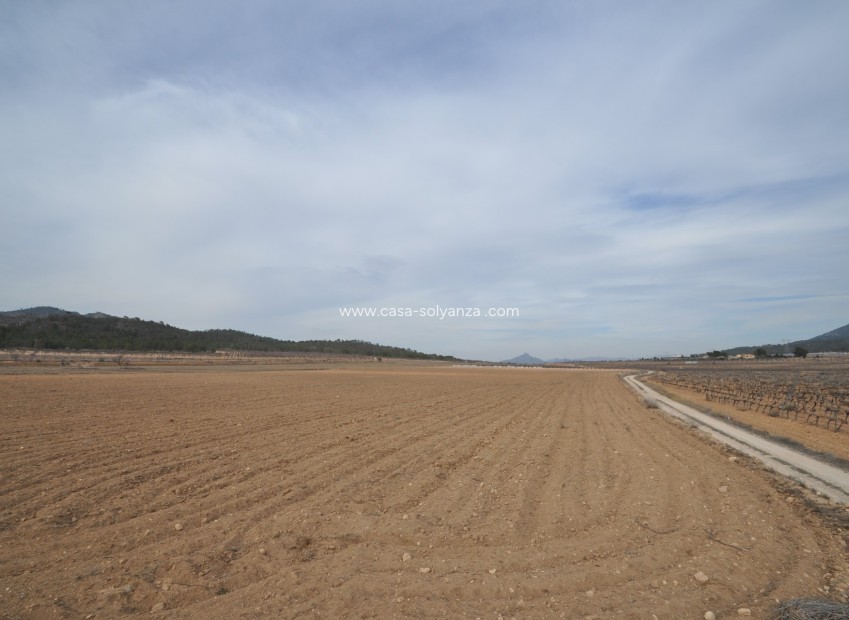 Revente - Land - Monóvar - Inland