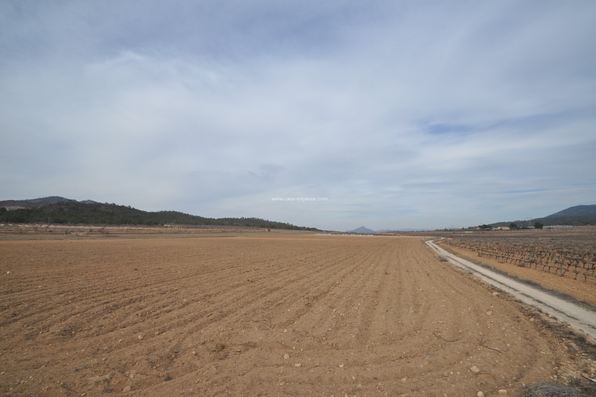 Revente - Land - Monóvar - Inland