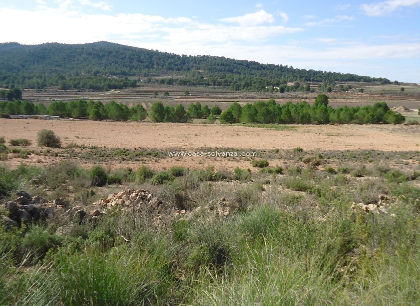 Revente - Land - Monóvar - Inland