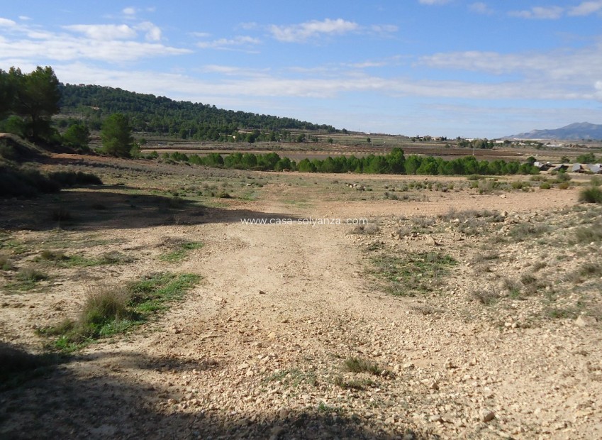 Revente - Land - Monóvar - Inland