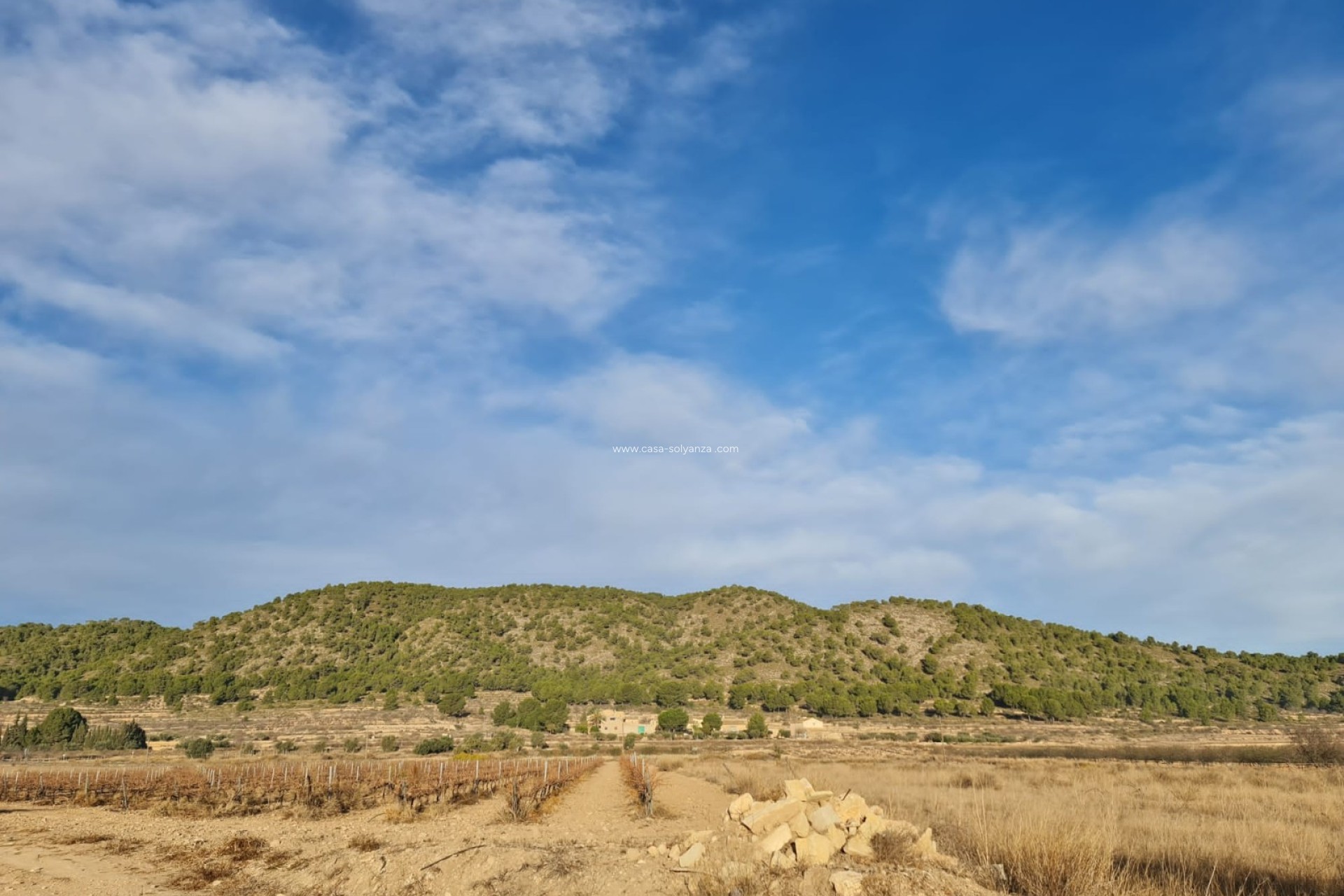 Revente - Land - Monóvar - Inland
