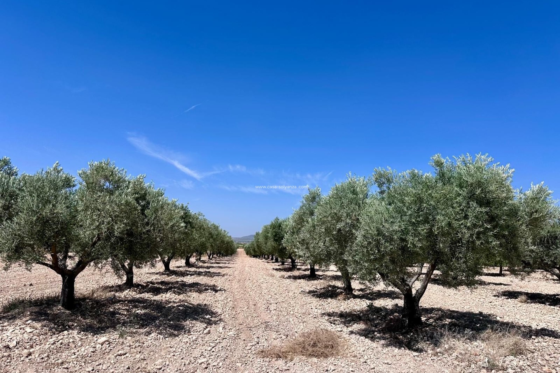 Revente - Land - Monóvar - Inland