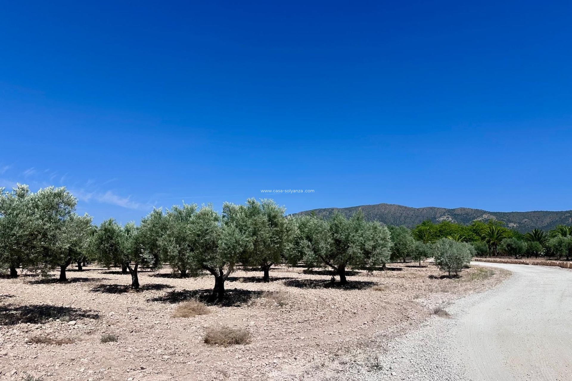 Revente - Land - Monóvar - Inland