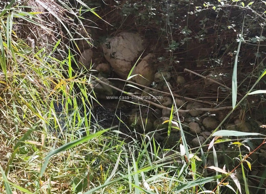 Revente - Land - Moratalla