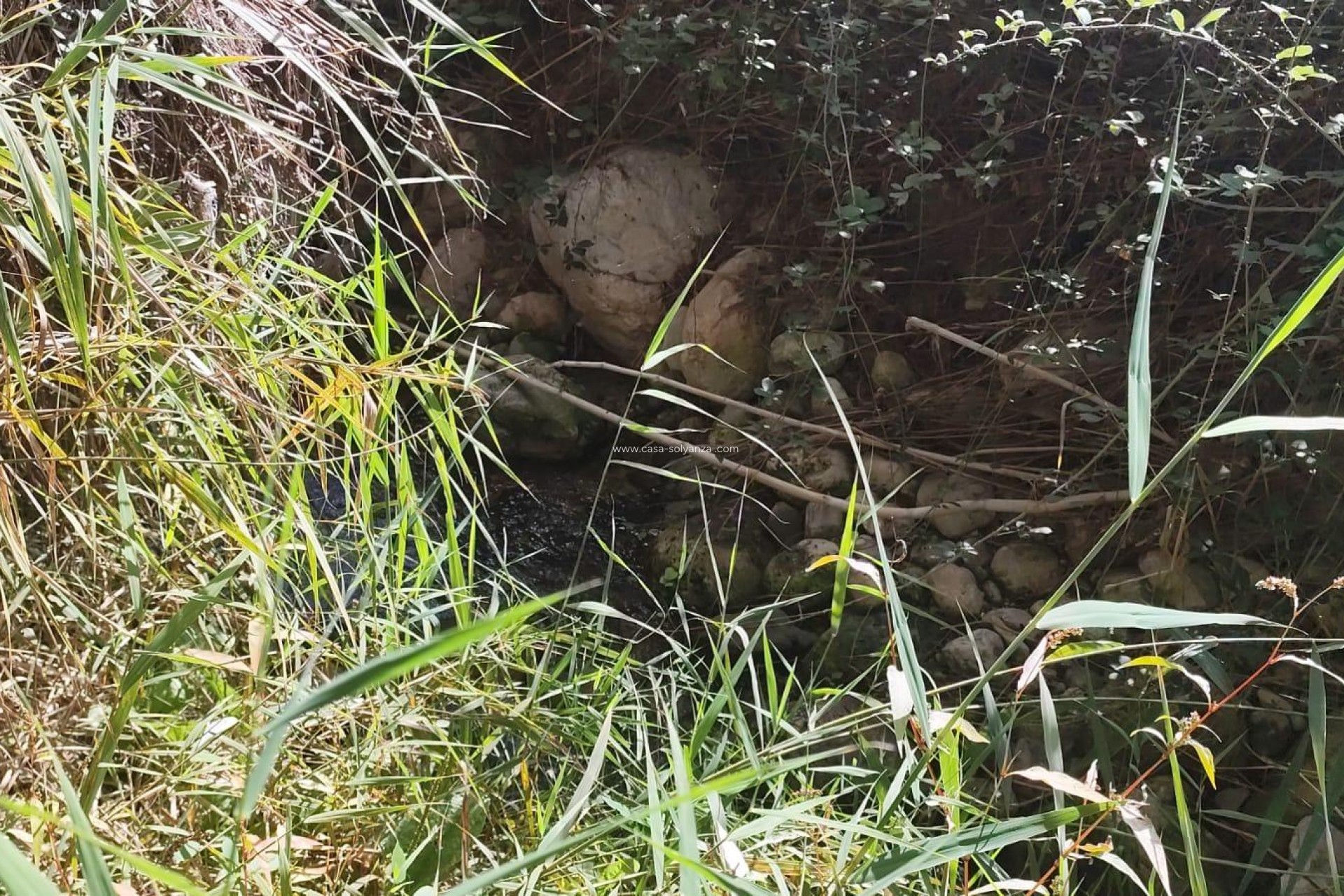 Revente - Land - Moratalla