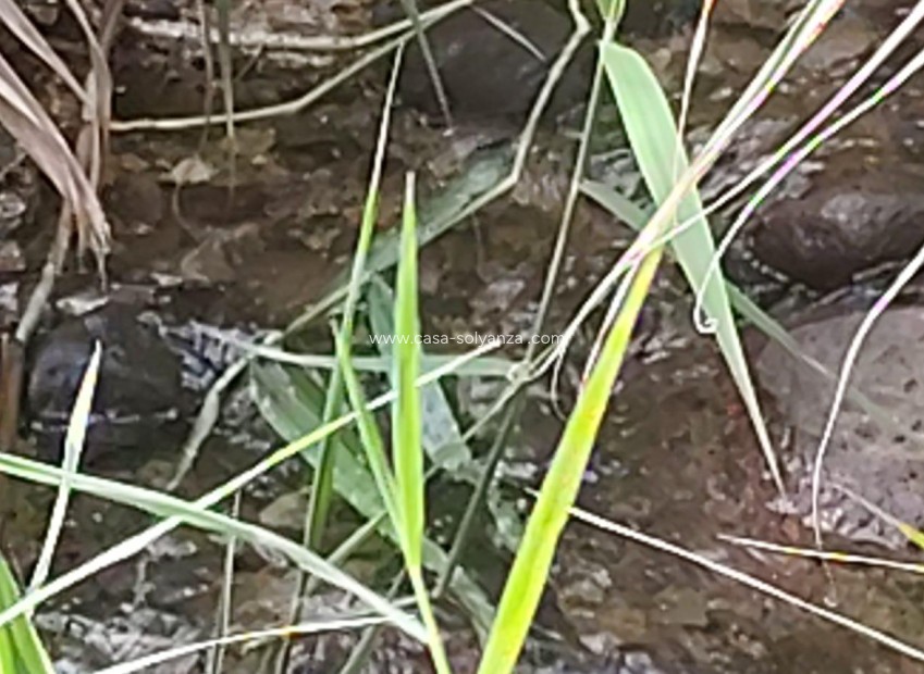 Revente - Land - Moratalla