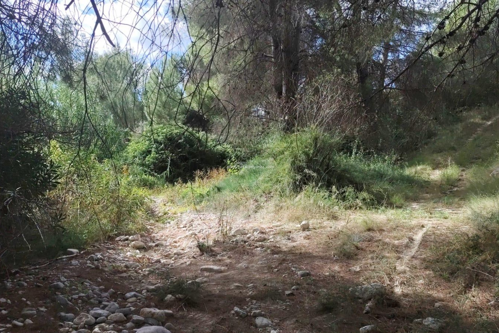 Revente - Land - Moratalla