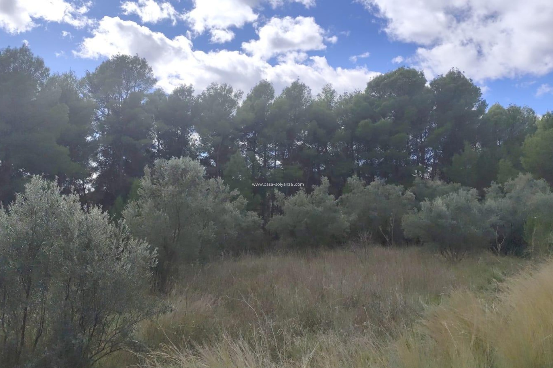 Revente - Land - Moratalla