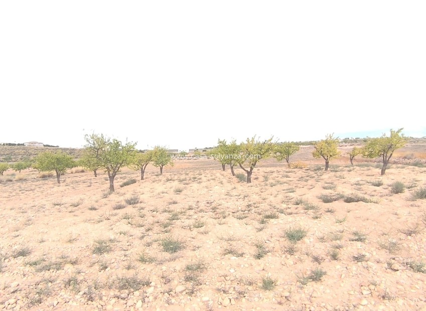 Revente - Land - Pinoso - Inland
