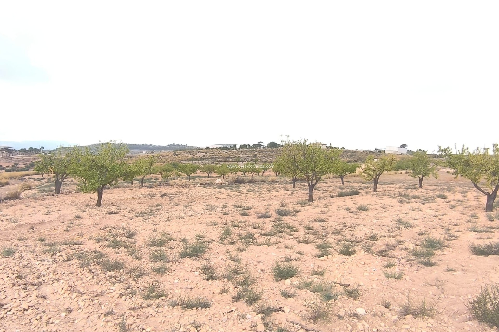 Revente - Land - Pinoso - Inland