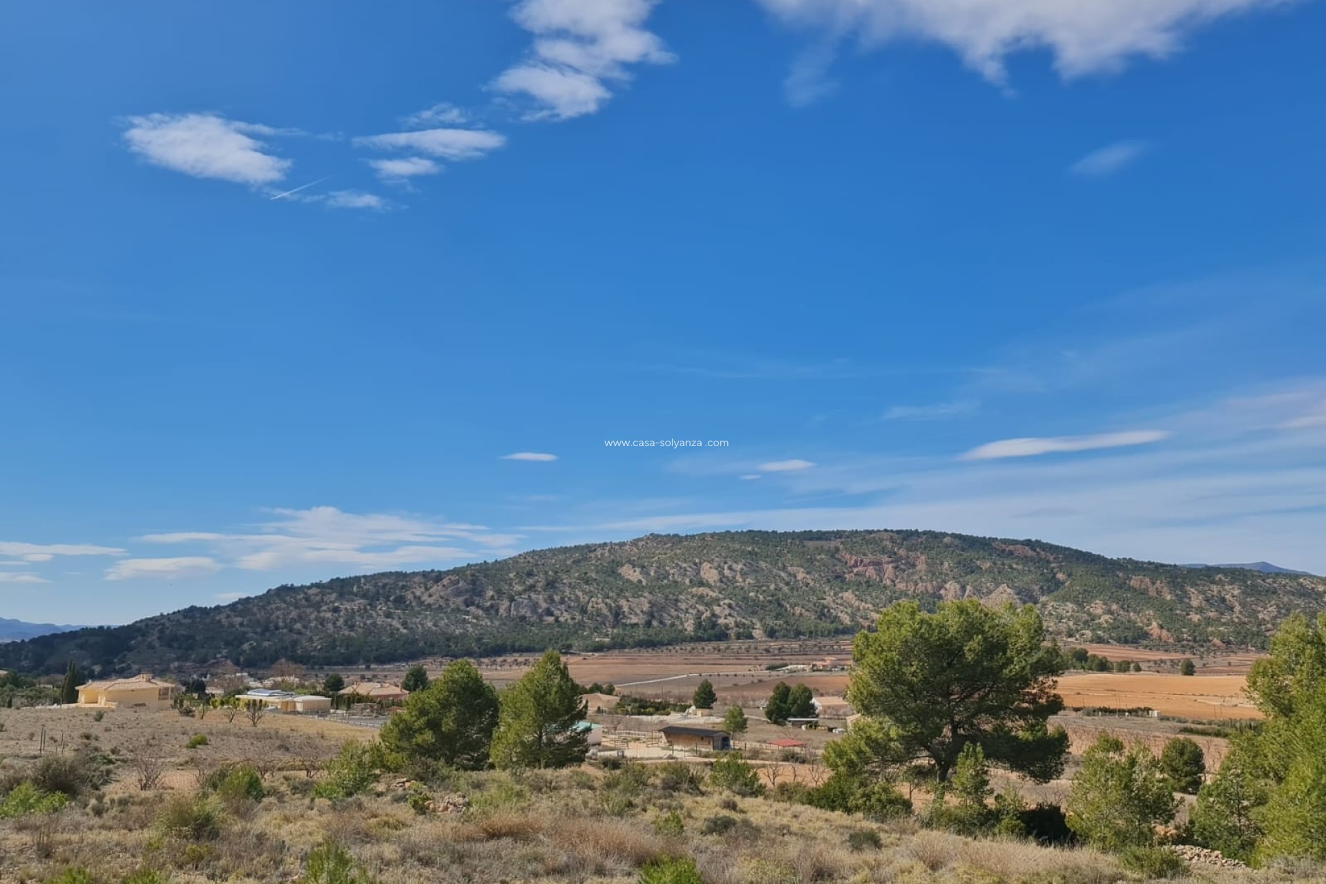 Revente - Land - Pinoso - Inland