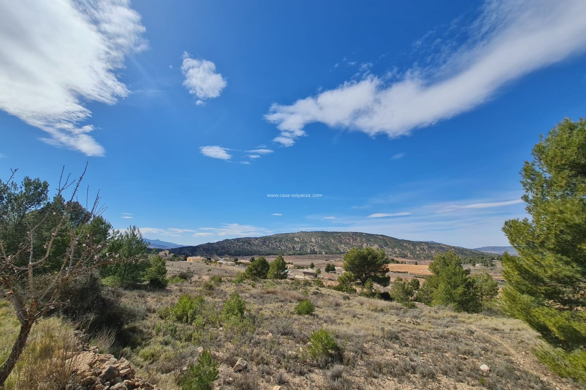 Revente - Land - Pinoso - Inland