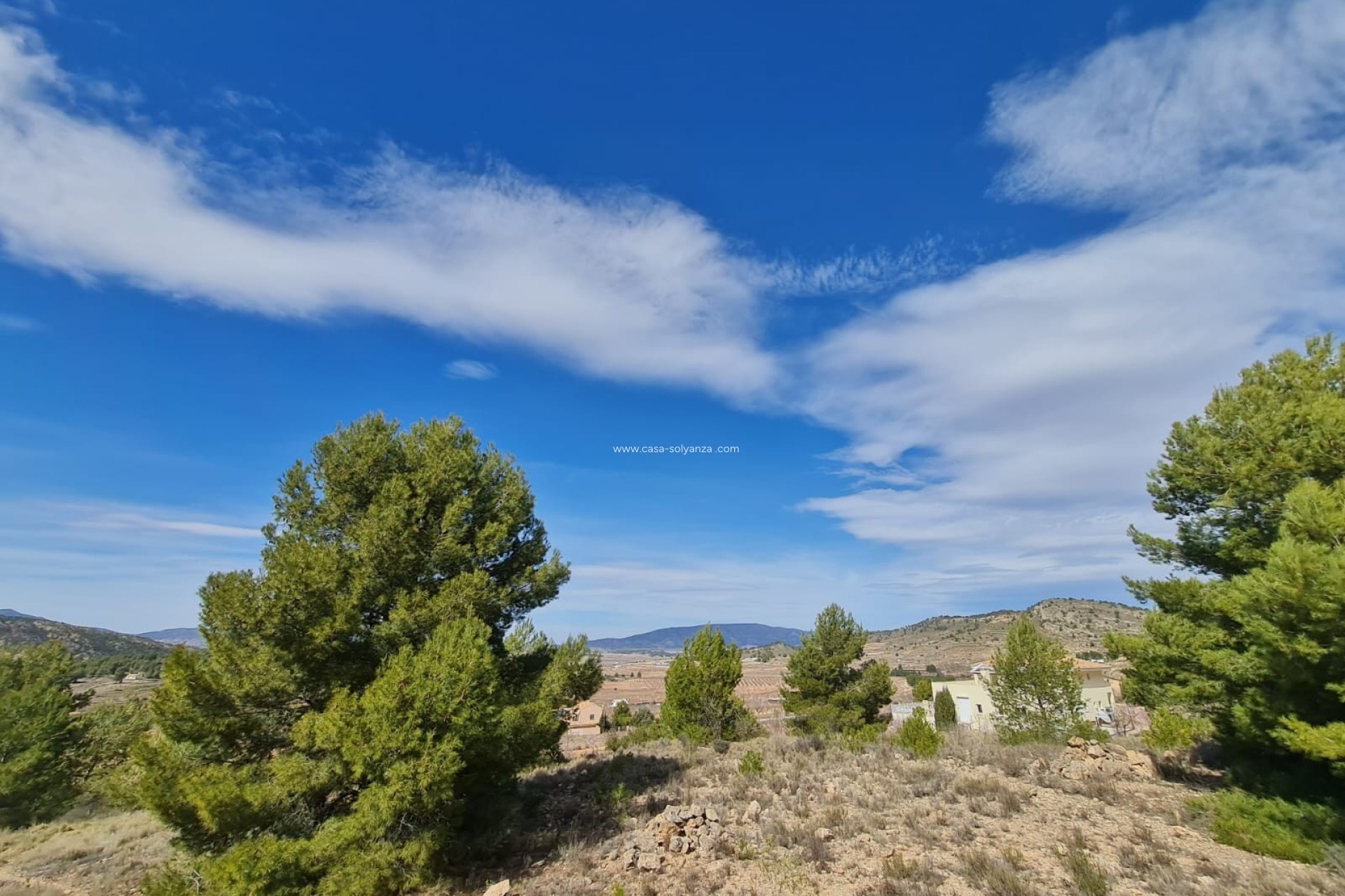 Revente - Land - Pinoso - Inland