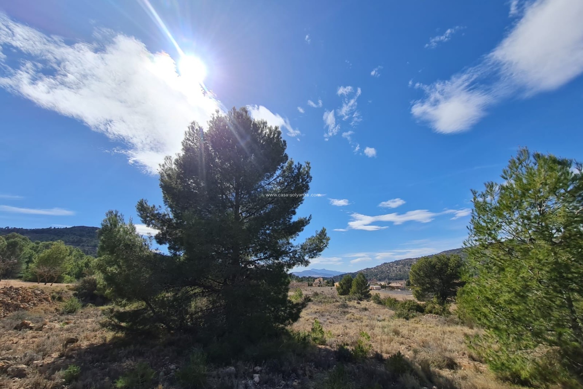 Revente - Land - Pinoso - Inland