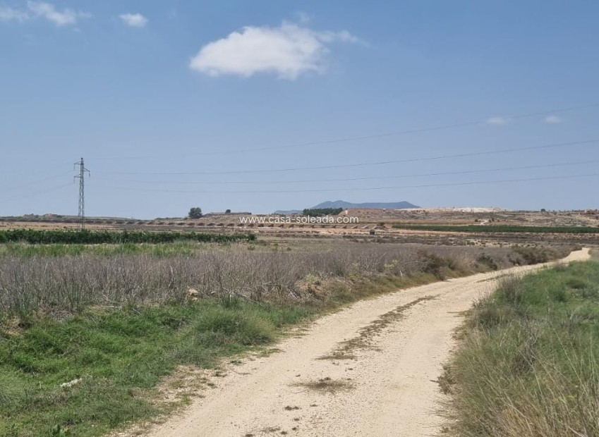 Revente - Land - Pinoso - Inland
