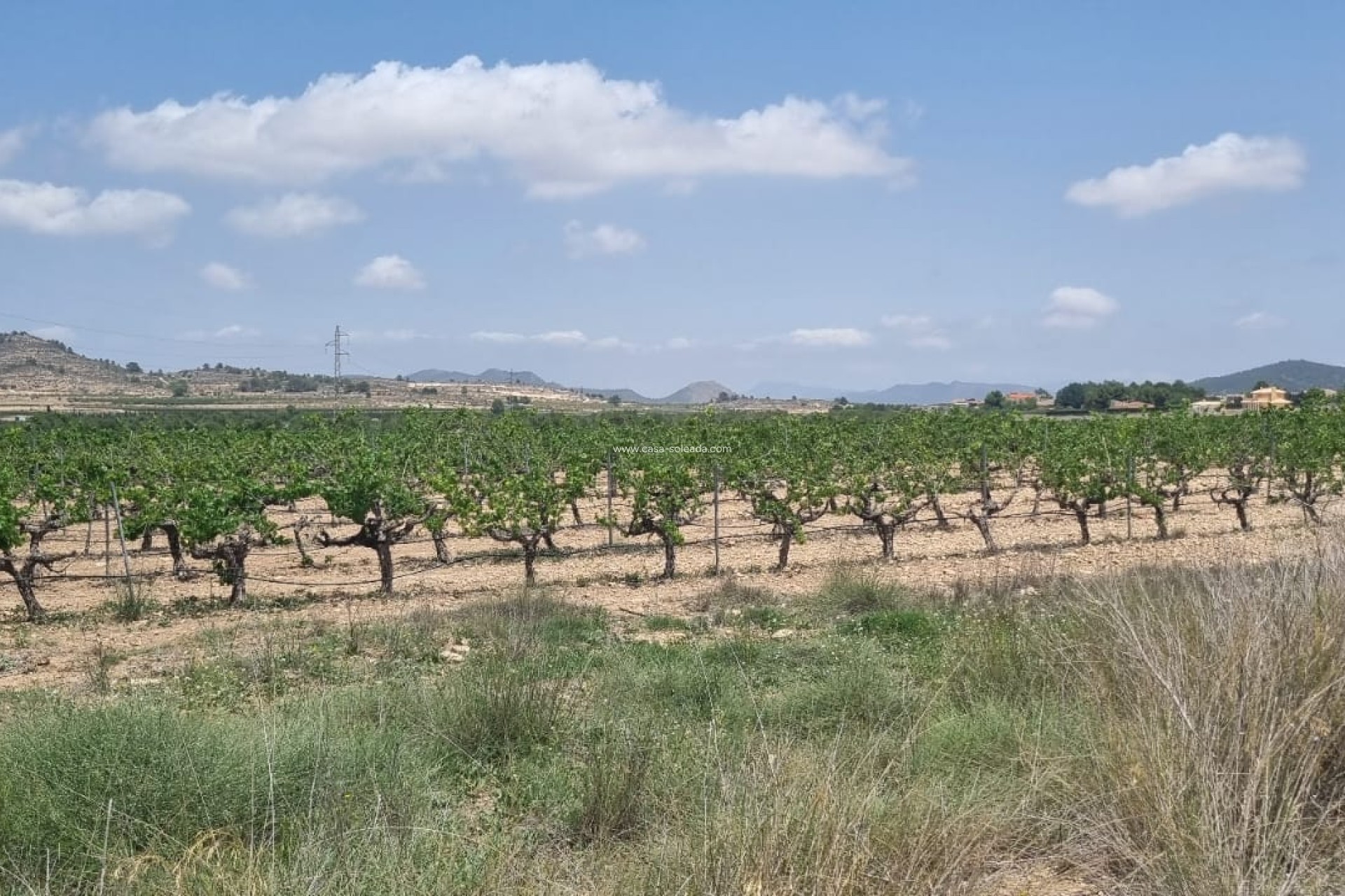 Revente - Land - Pinoso - Inland