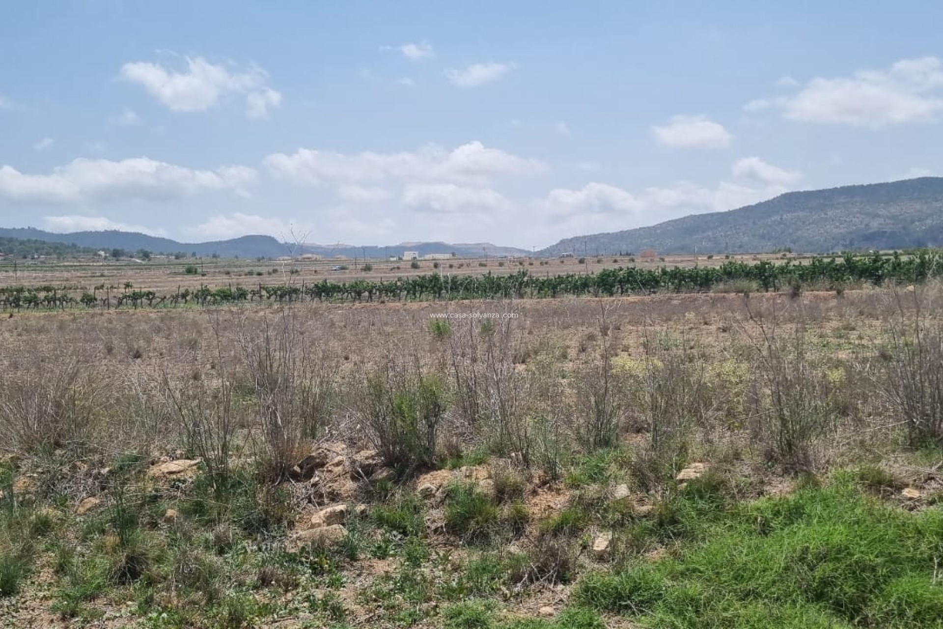 Revente - Land - Pinoso - Inland