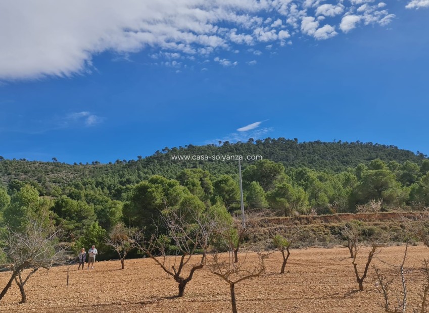 Revente - Land - Pinoso - Inland
