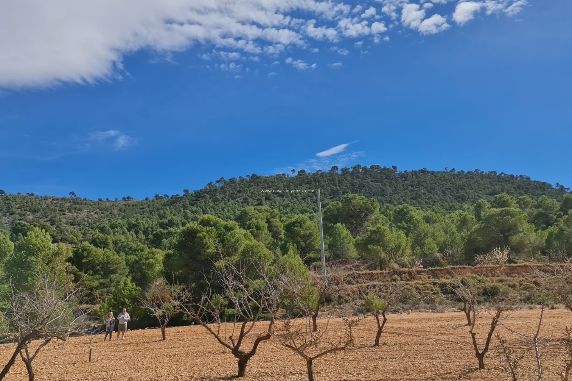 Revente - Land - Pinoso - Inland