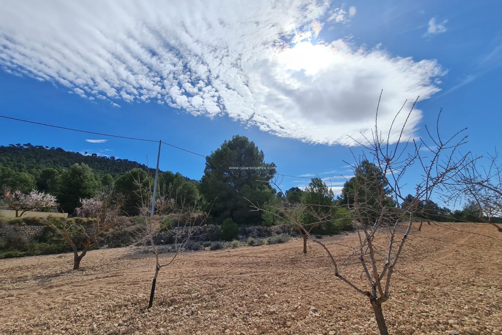 Revente - Land - Pinoso - Inland