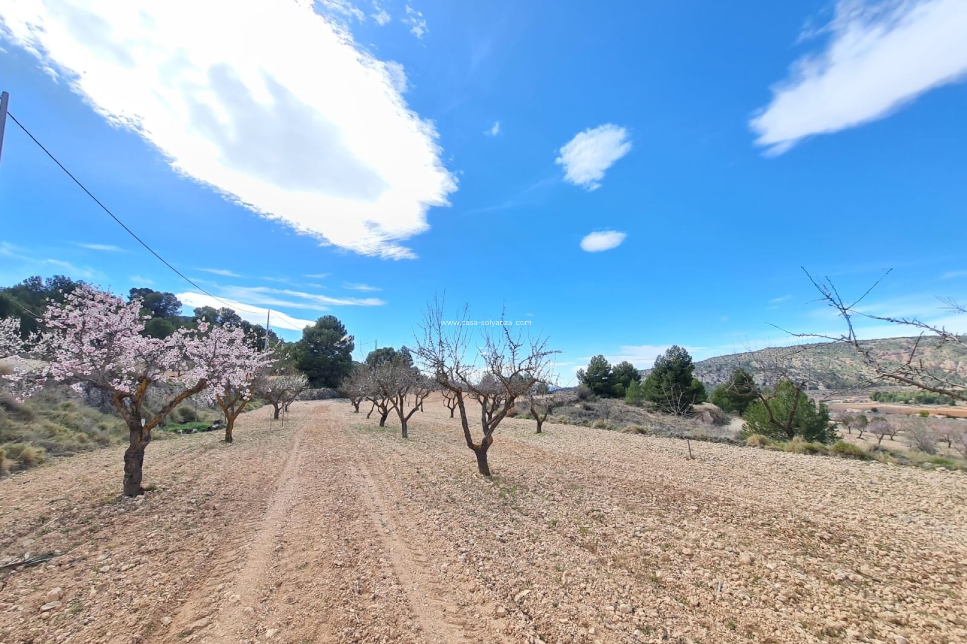 Revente - Land - Pinoso - Inland