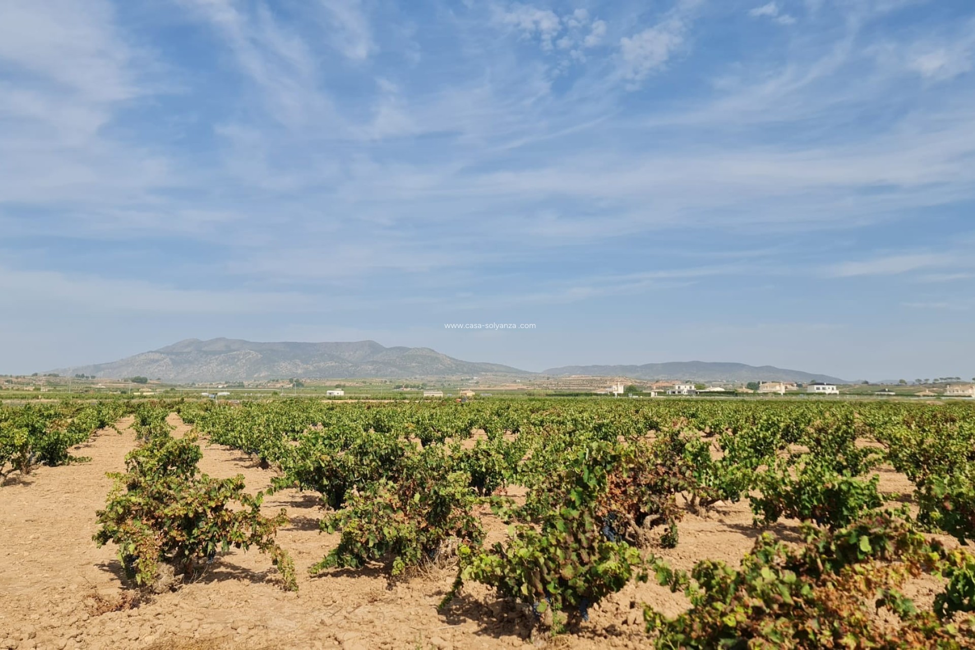 Revente - Land - Pinoso - Inland