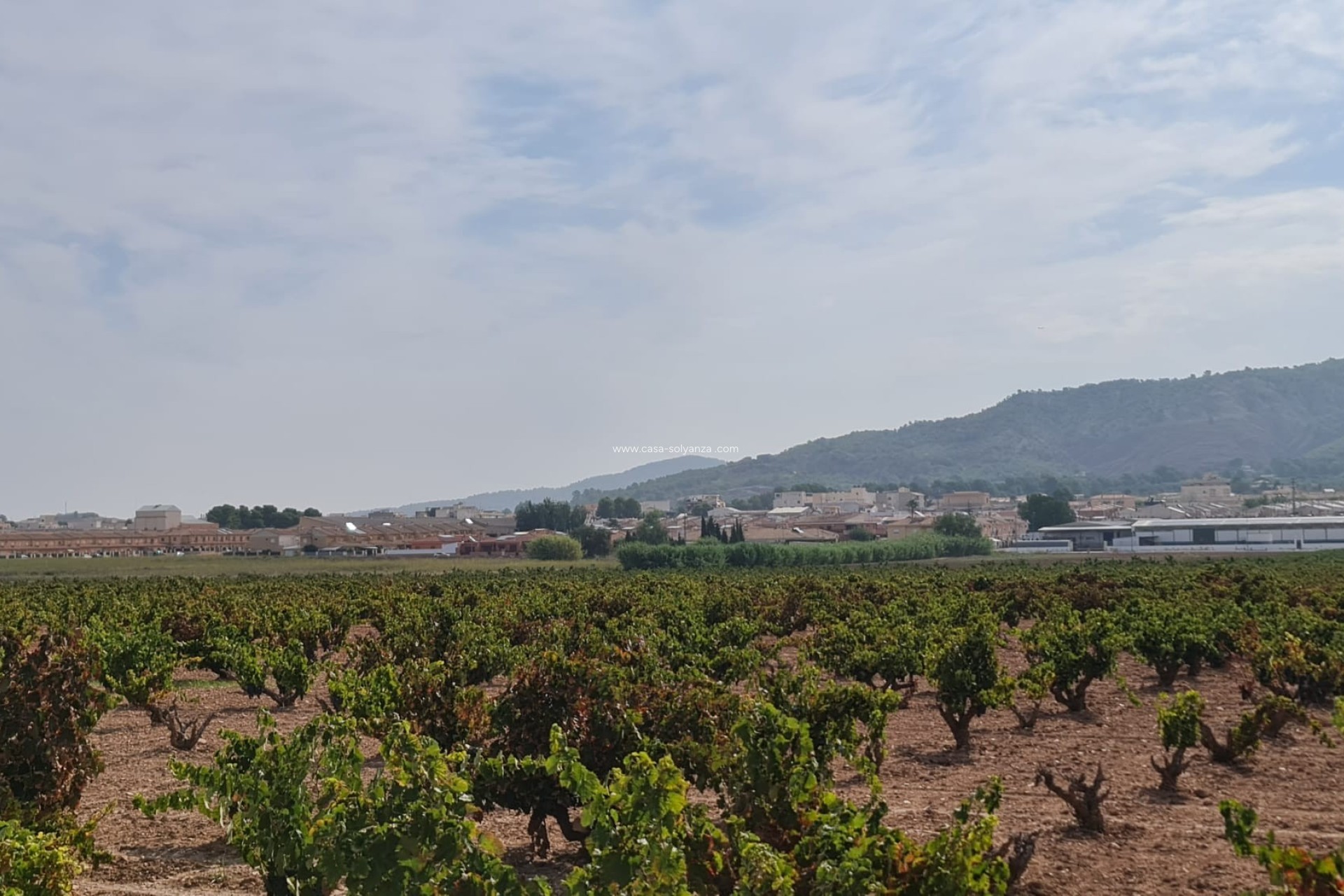 Revente - Land - Pinoso - Inland