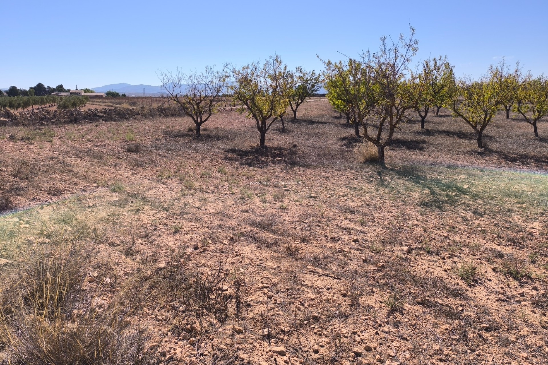 Revente - Land - Pinoso - Inland