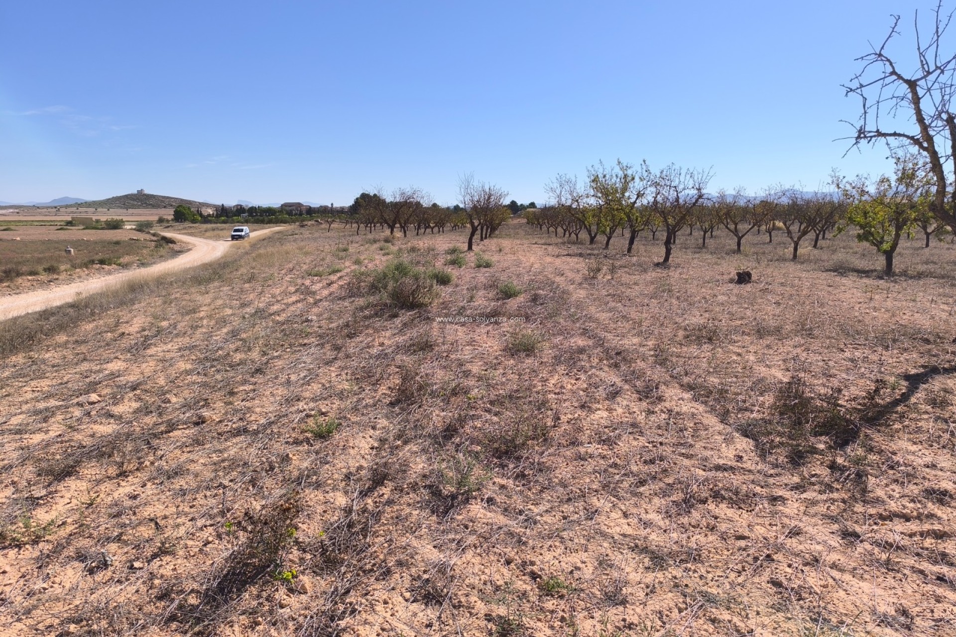 Revente - Land - Pinoso - Inland