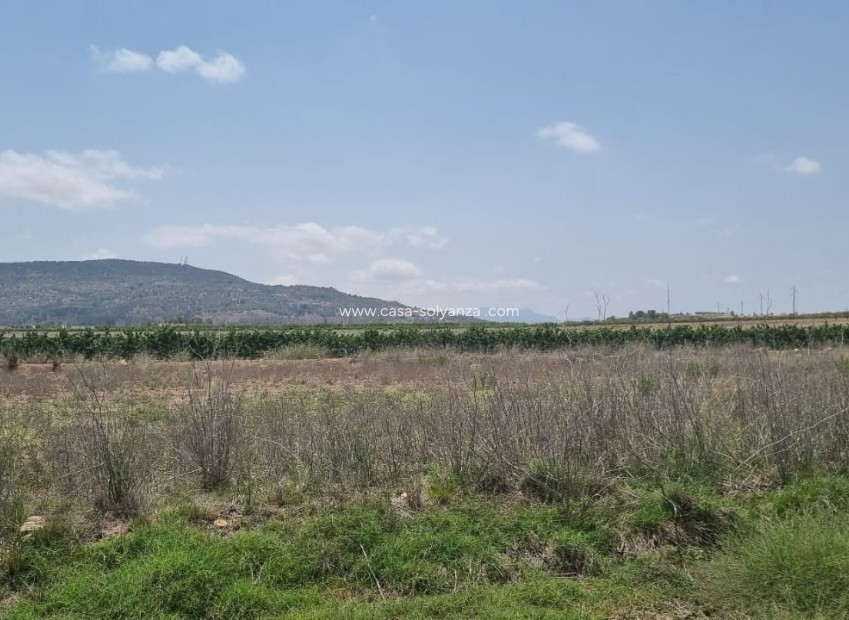 Revente - Land - Pinoso - Inland