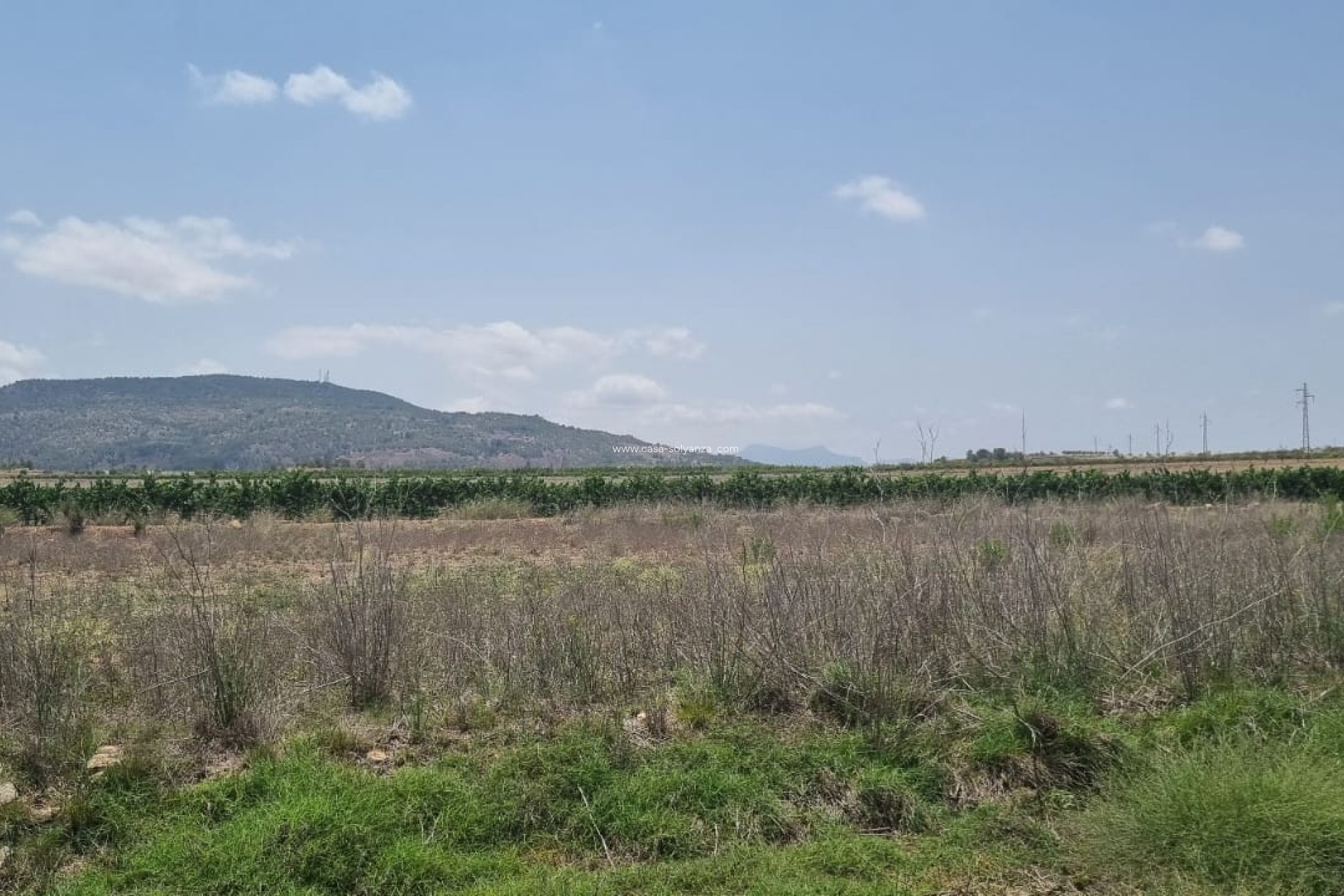 Revente - Land - Pinoso - Inland